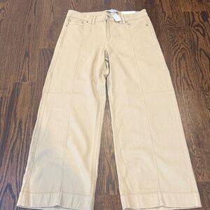 American Eagle NWT low rise baggy wide leg pants